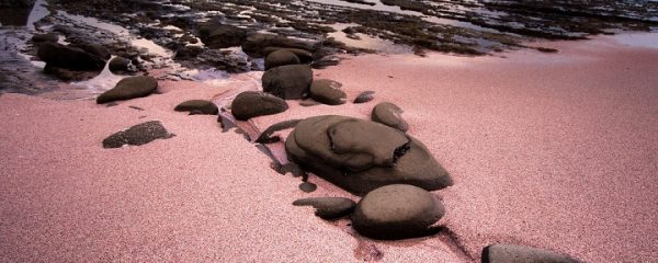 Pink Sand Beaches