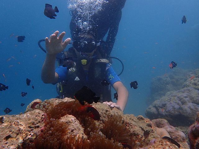 6. Scuba Diving Andaman Islands