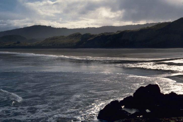 Muriwai Beach, New Zealand