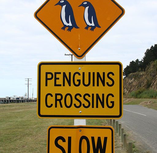 Penguins Crossing