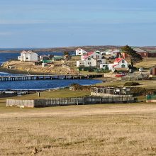 Falkland Islands 2