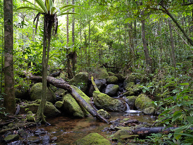 Masoala National Park, Madagascar