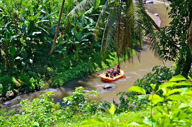 Ayung River water rafting