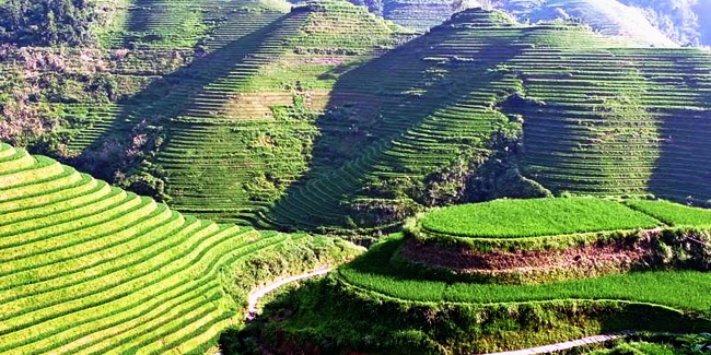 Rendang Terraced Paddy Fields in Bali