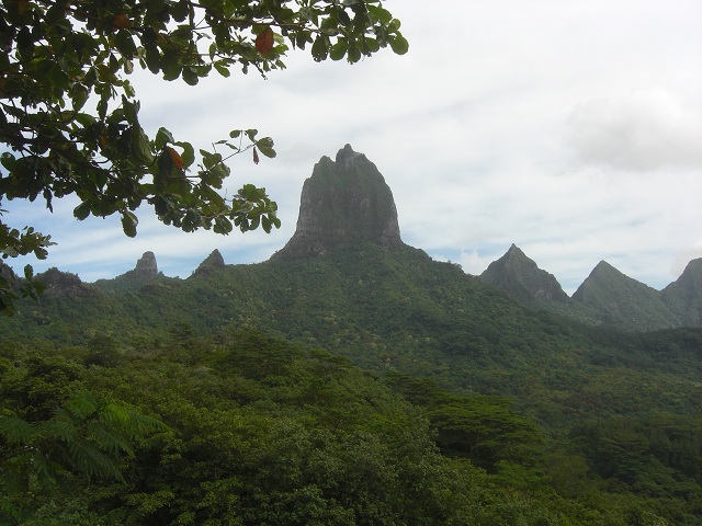 Belvedere French Polynesia