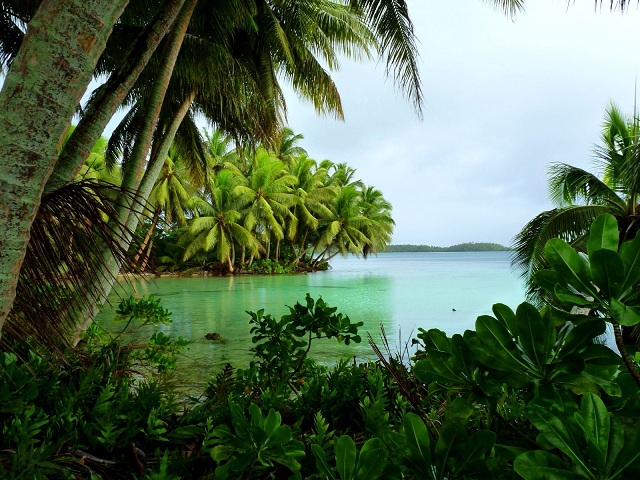 Uninhabited Islands Palmyra Atoll