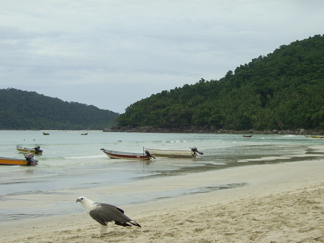 Small Malaysian Sabah Islands