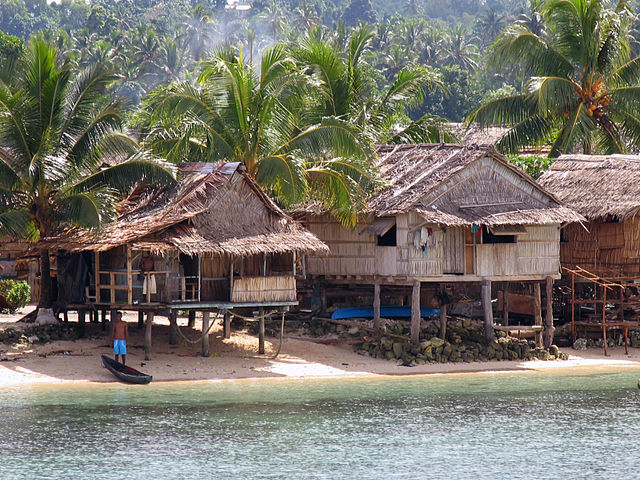 Papua New Guinea 