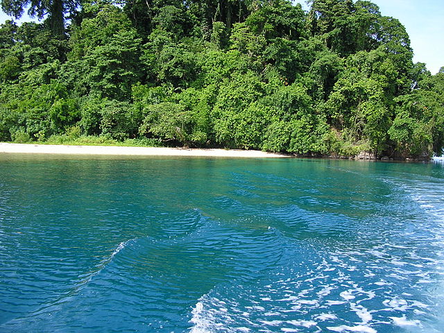 Papua New Guinea