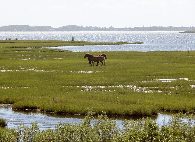 Canadian Islands Sable Island