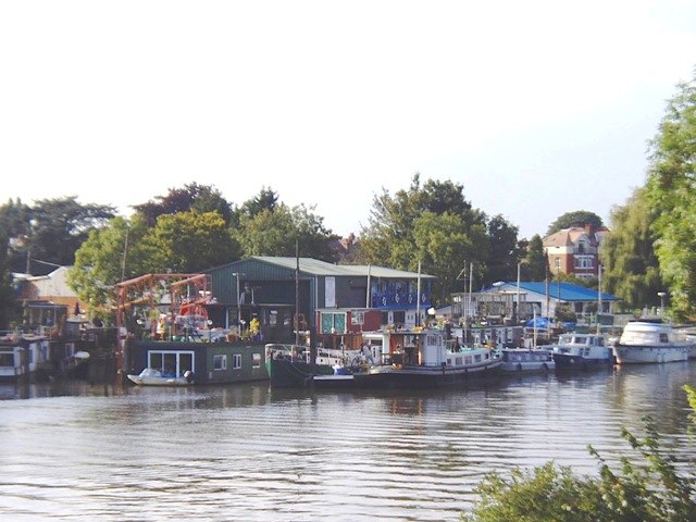 Eyots in River Thames Swan Island