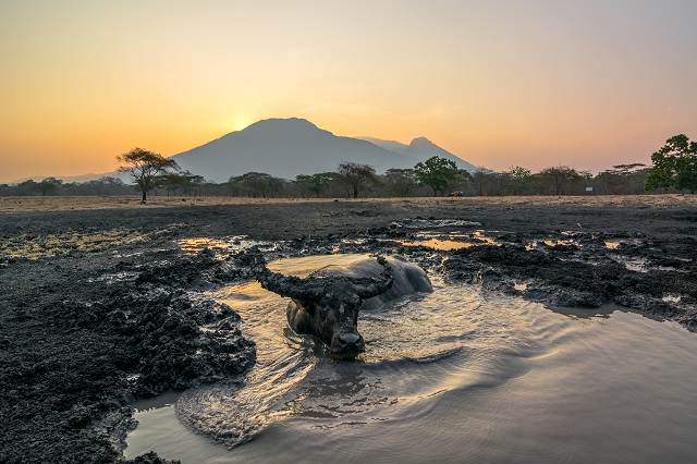 Baluran National Park, Indonesia