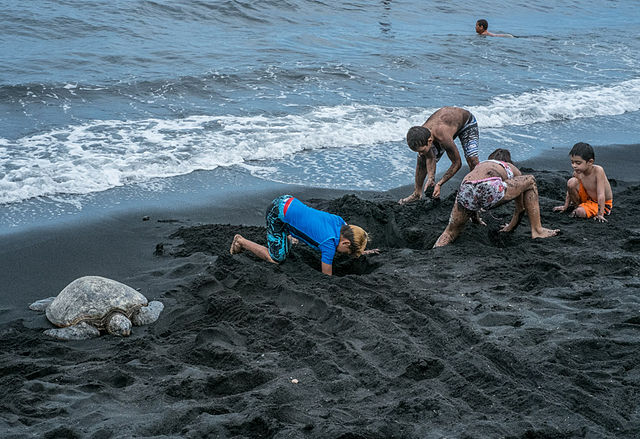 Black Sand Beaches