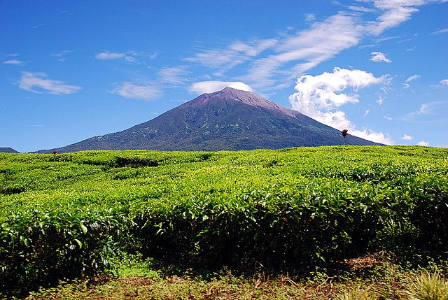 Kerinci Seblat National Park, Sumatra, Indonesia