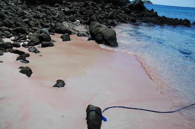 Pink Sand Beach Komodo Islands