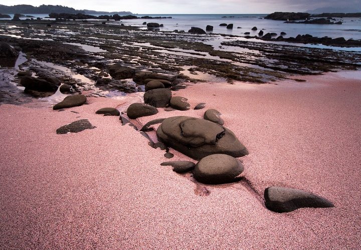 Pink Sand Beaches