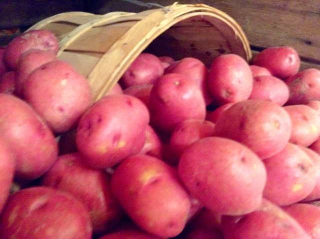 Red Potatoes