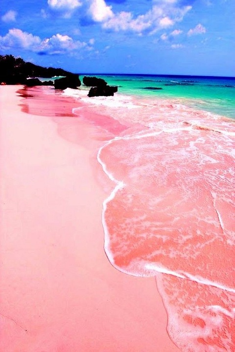 Tangsi Pink Sand Beach Lombok Island