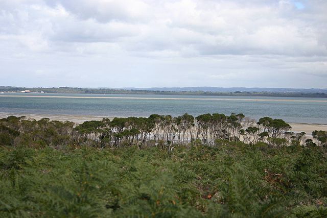 Phillip Island Tour-French Island