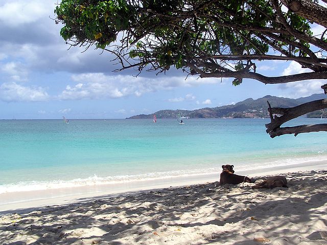 Grand Anse beach