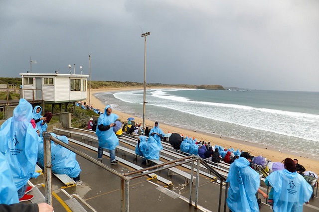 Phillip Island Tour: Penguin Parade Tour