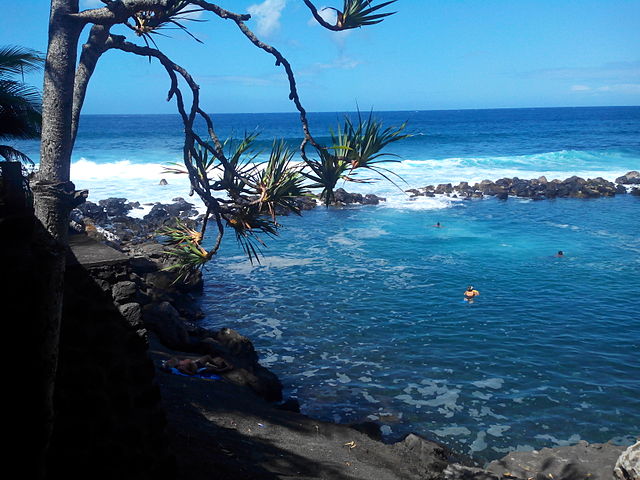 Reunion island Manapany Beach