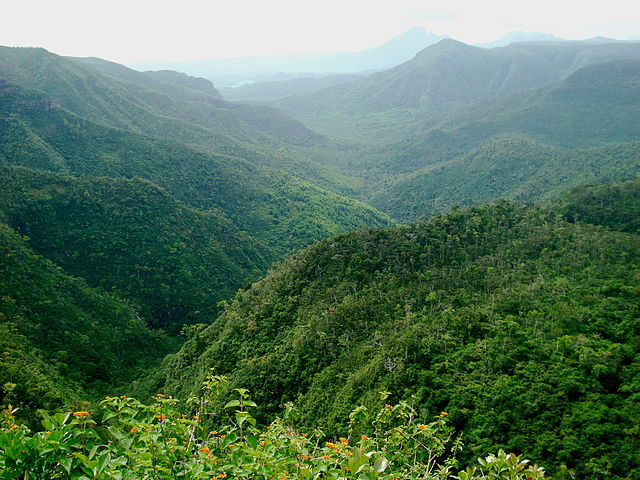 Black River Gorges National Park, Mauritius Island