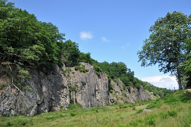 Almindingen Forest