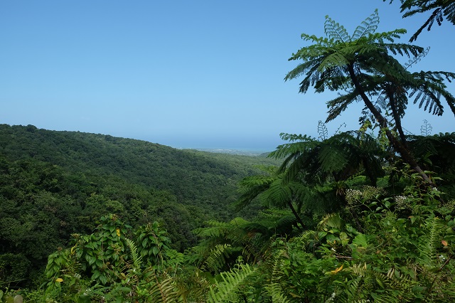 Guadeloupe Island