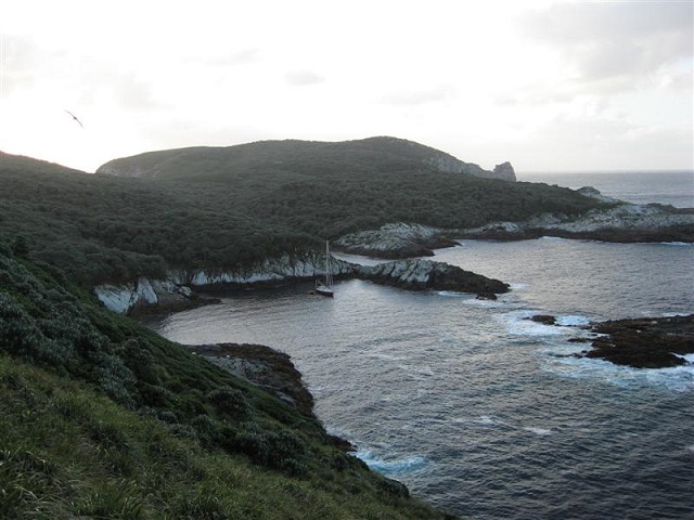 Snares IslandsNew Zealand Islands 