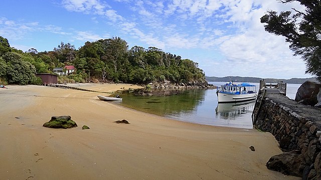 New Zealand Islands: Birding in Islands of New Zealand