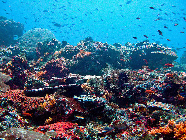 Nusa Penida Island