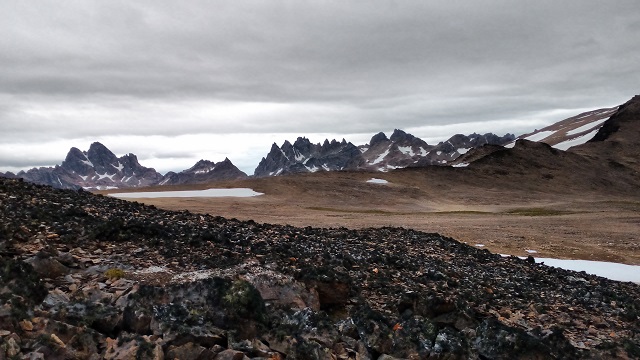 Dientes de Navarino