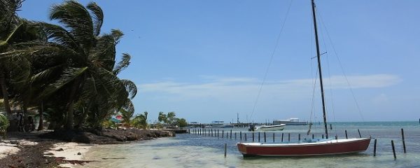 Caye Caulker Belize 1
