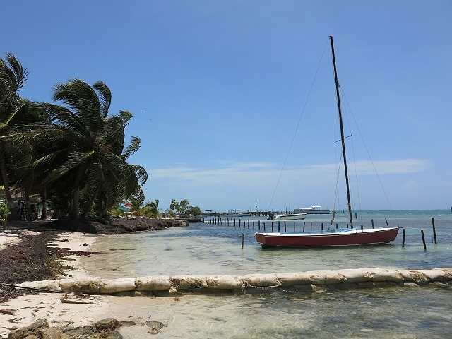 Caye Caulker Belize 1