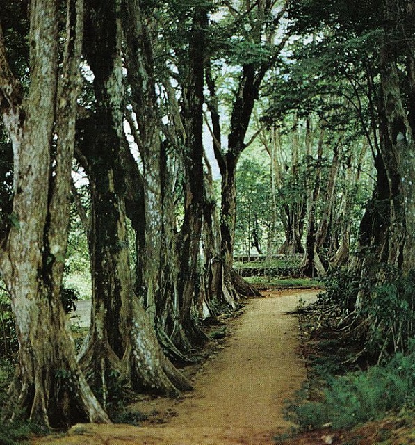 Morne Seychellois National Park