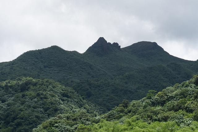 El Yunque National Forest