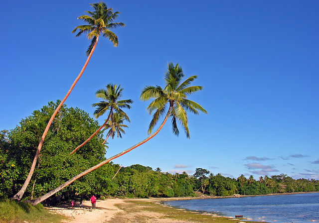 Vanuatu Island