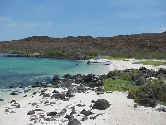 Mexican Islands