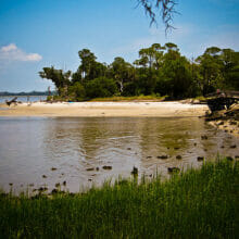 Best Things to Do in Jekyll Island