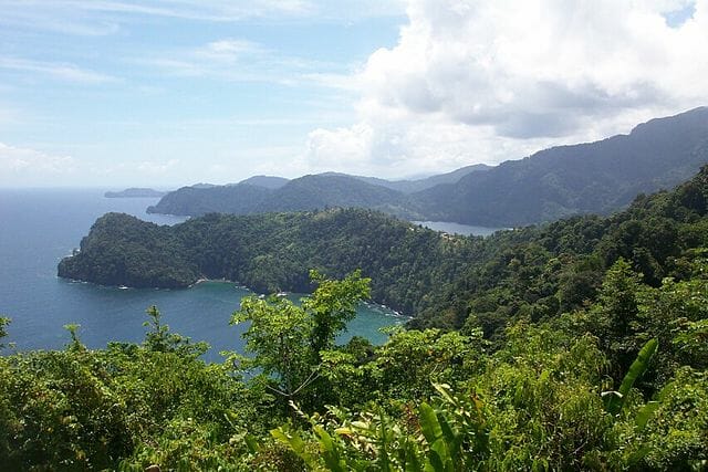 Maracas Beach