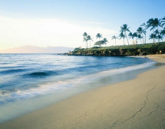 Best Things to Do in Maui