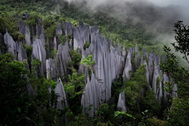 Gunung Mulu National Park