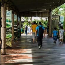 Mandai River Wonders Singapore