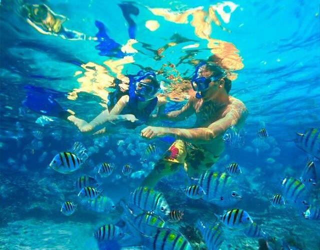 Best Snorkeling Spots in the Caribbean